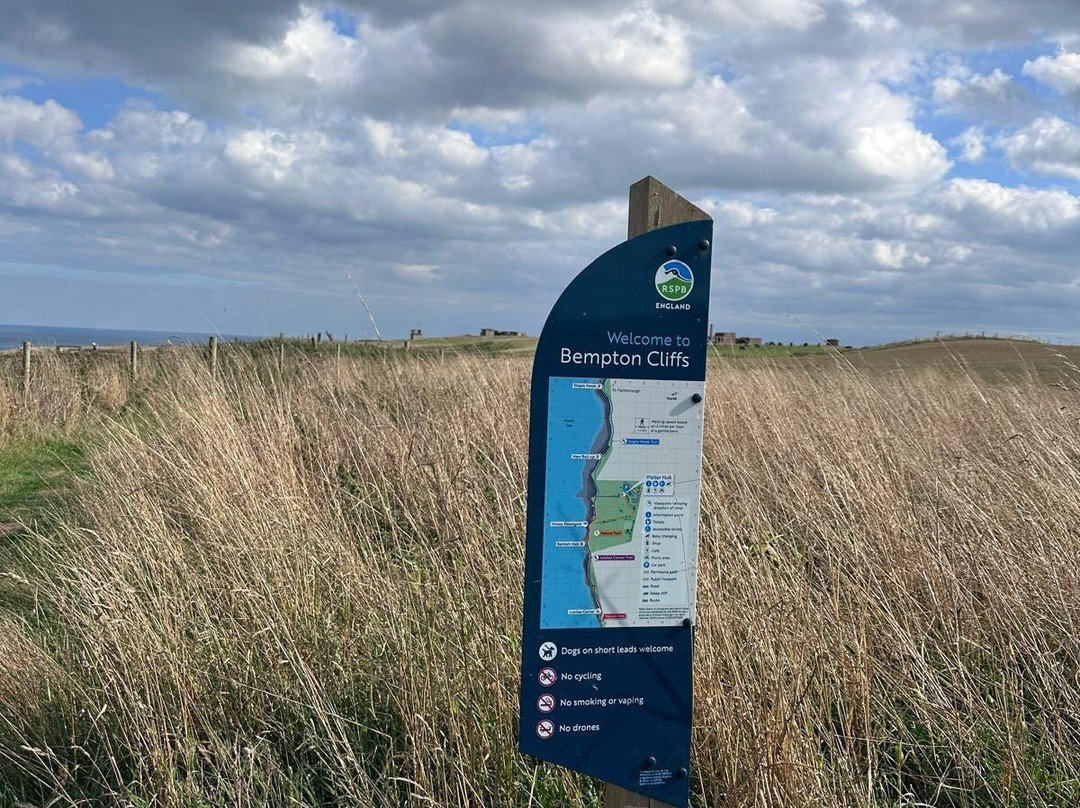 RSPB Bempton Cliffs-Bempton必去景点