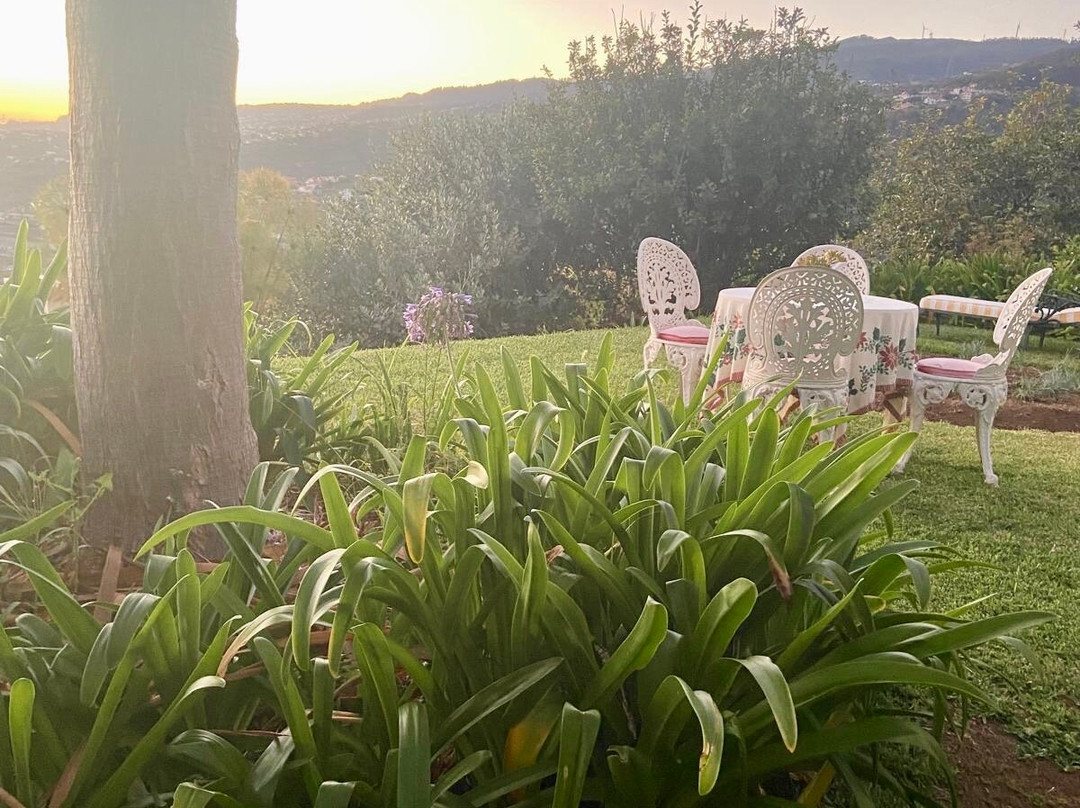Quinta do Cabouco主图