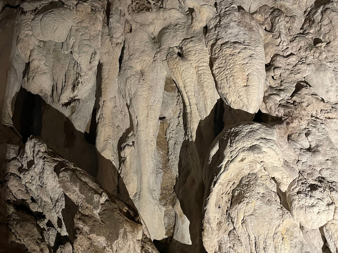 Parco Archeologico Naturalistico e Archeodromo di Belverde-Cetona必去景点