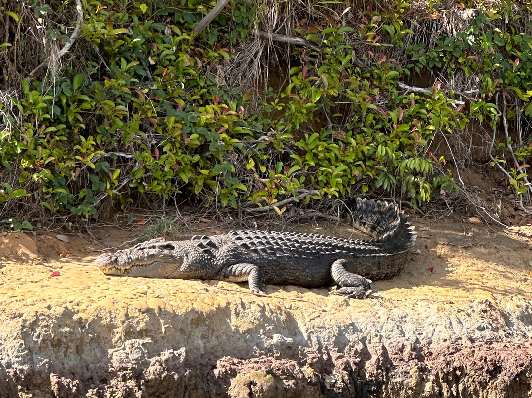 FNQ Nature Tours-凯恩斯必去景点