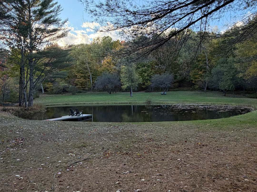 Moose Meadow Lodge & Treehouse主图
