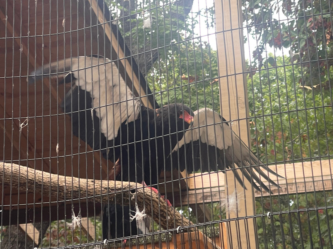 World Bird Sanctuary-Valley Park必去景点