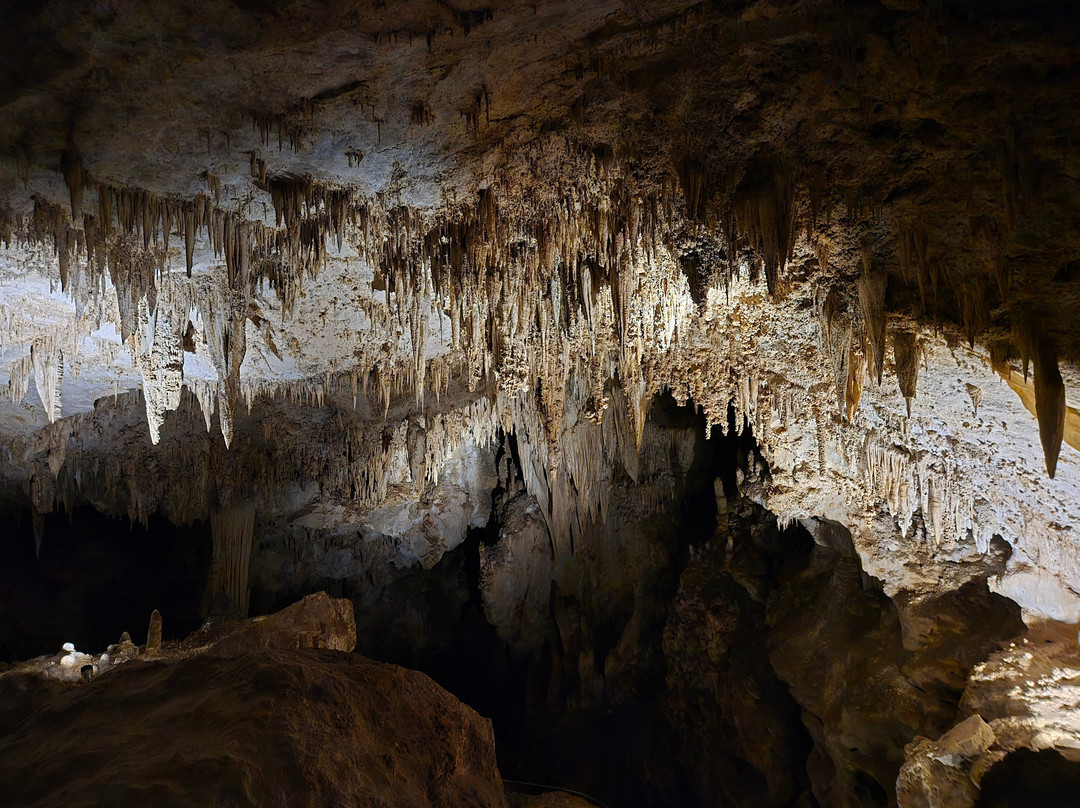 Carlsbad Caverns Natural Entrance Tour-卡尔斯巴德洞穴国家公园必去景点