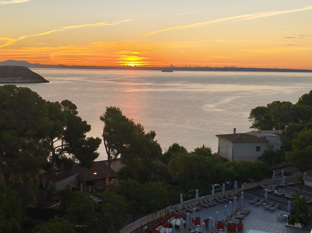 Alua Calvia Mallorca主图