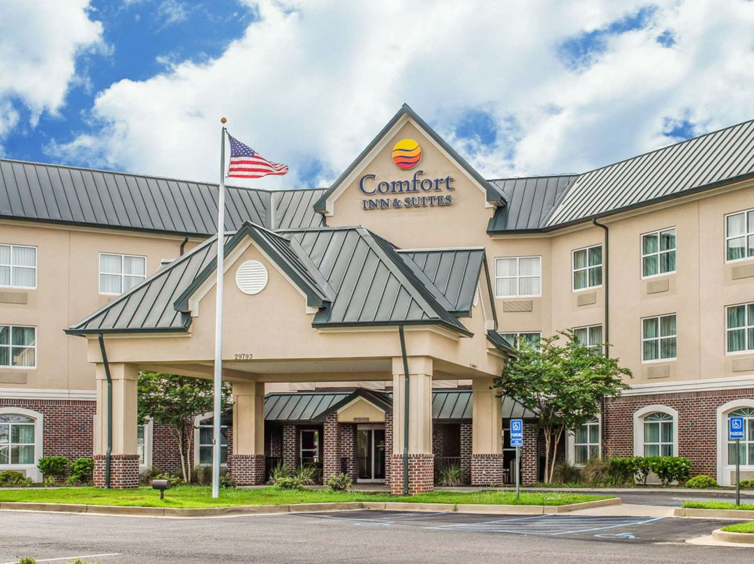 Comfort Inn & Suites Mobile Near Eastern Shore Centre主图