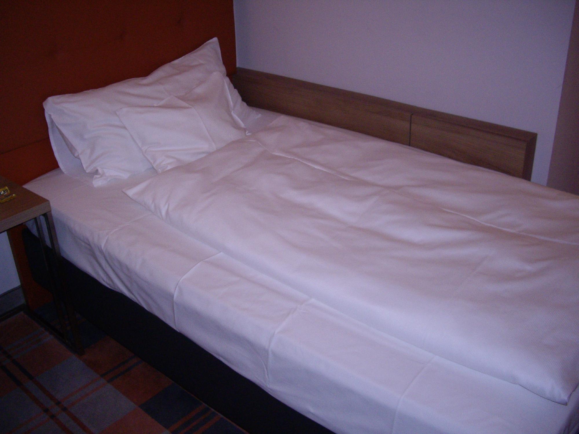 Hotel Gasthof Raab-客卧