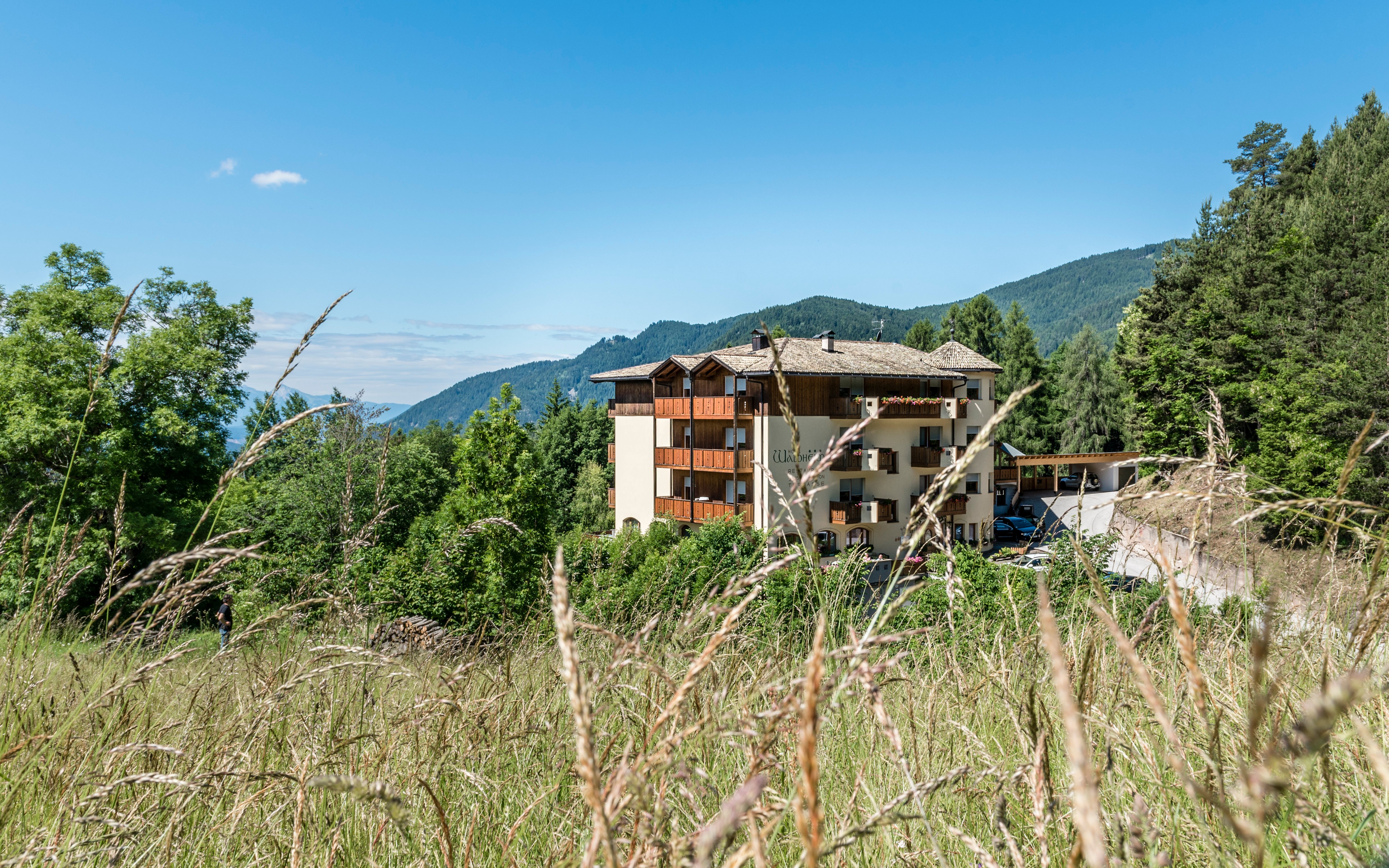 Hotel Waldheim-官方