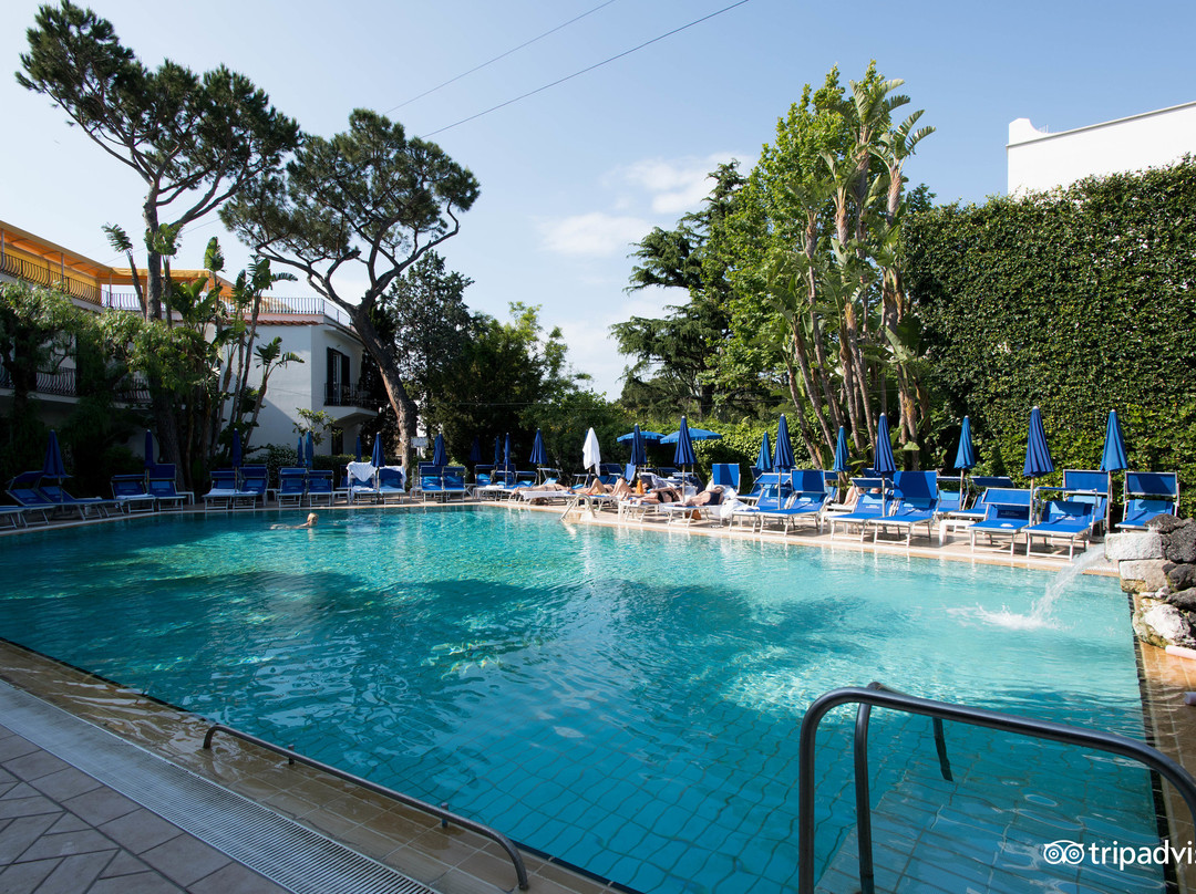 Ischia Porto酒店住宿-Hotel Floridiana Terme