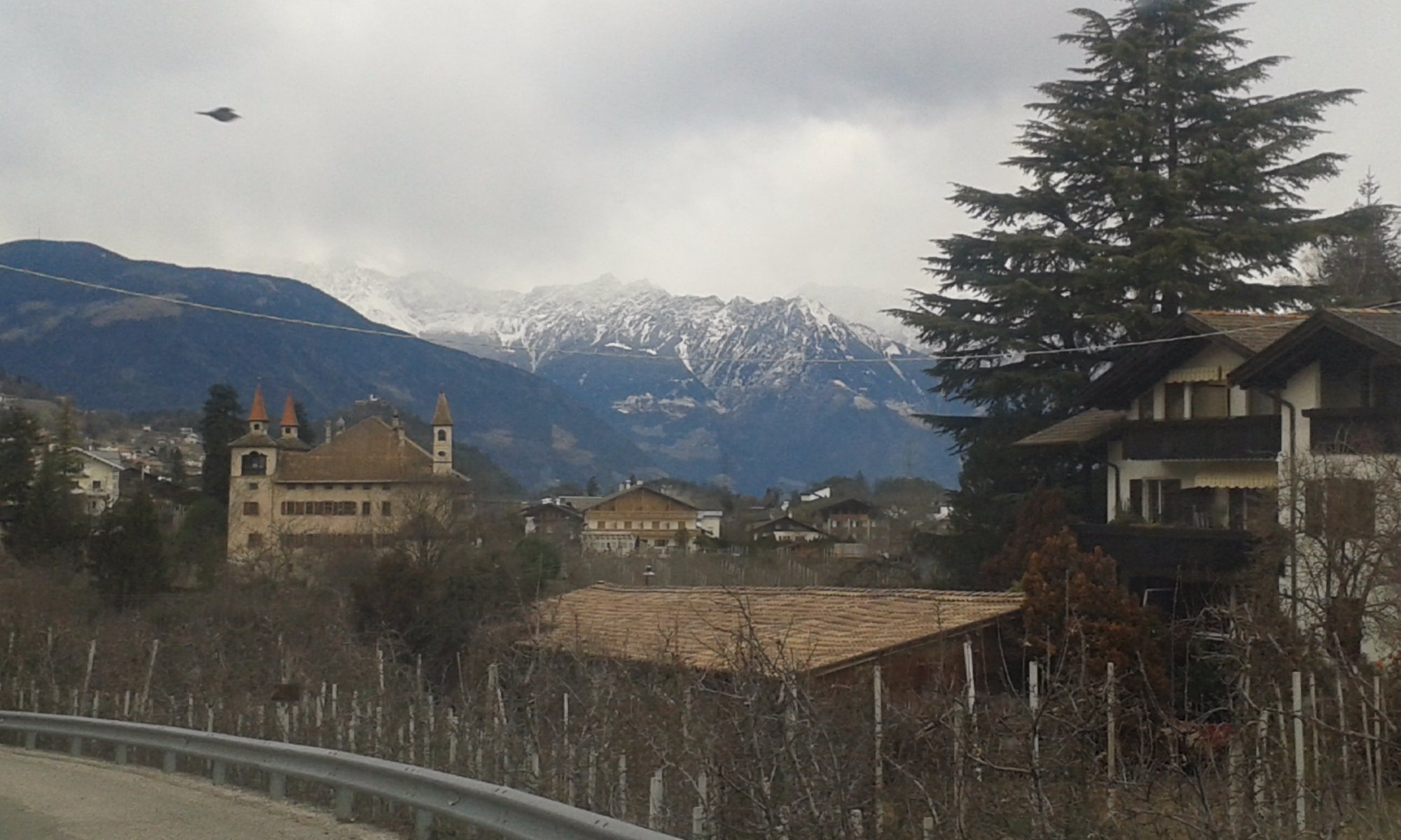 Residence Kronstein-官方