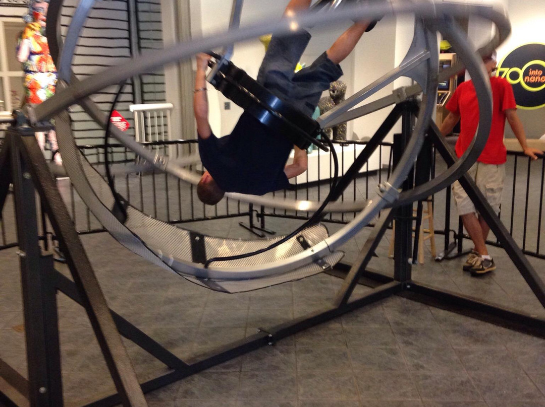 梅肯旅游景点-Museum Of Arts And Sciences