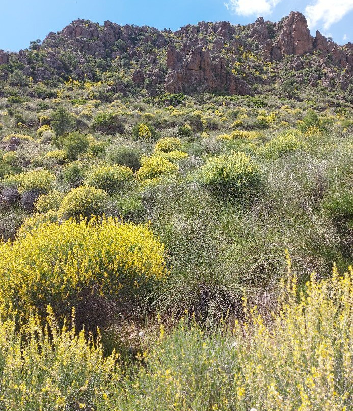 Piton Volcánico de Cancarix-Agramon必去景点