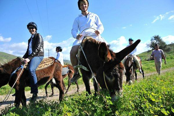 Argonaftis Tours - Kelokedara Donkey Farm景点图片
