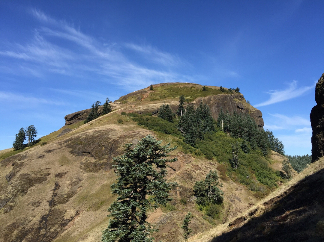 Saddle Mountain Trail景点图片