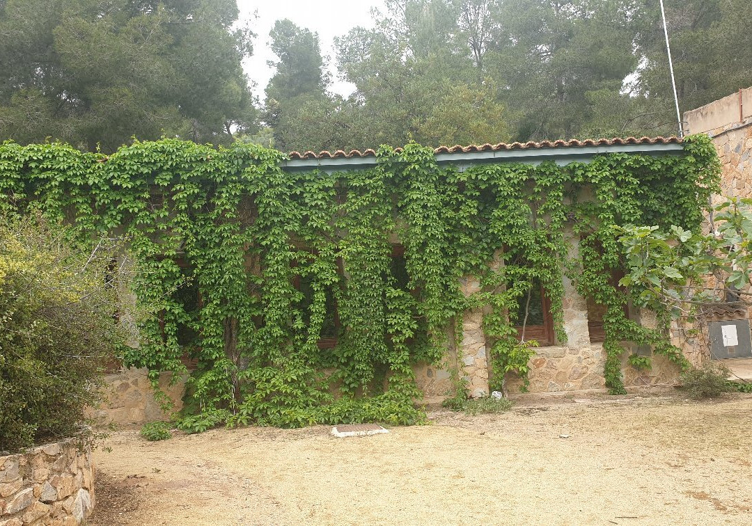 Aula De La Naturaleza, Majal Blanco