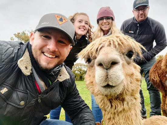 Alpacaly Ever After景点图片