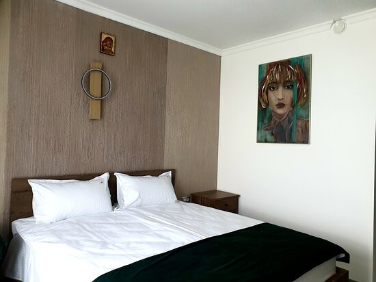 Hotel Angel Sofia主图