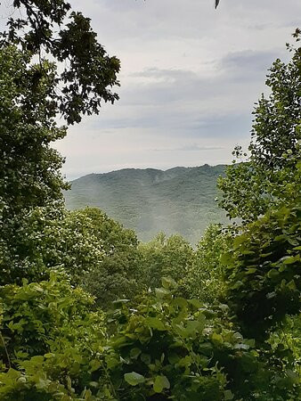 Jackson-Washington State Forest-Brownstown必去景点