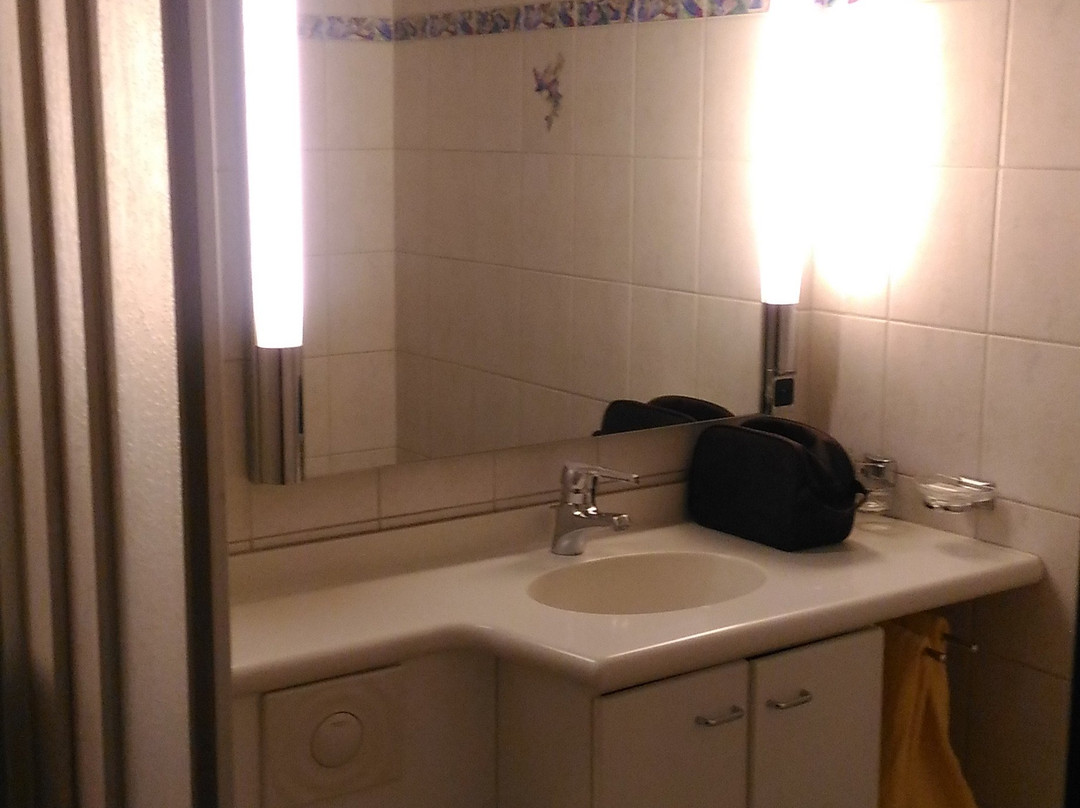 Hotel Deutscher Rhein主图