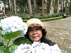 Dinh 1 Da Lat-大勒必去景点