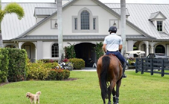 Chania Irish Pub Conor Pass-干尼亚必去景点