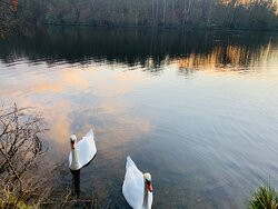 Les Etangs De Commelles-Coye-la-Foret必去景点