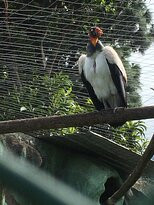 Zoologico de San Martin景点图片