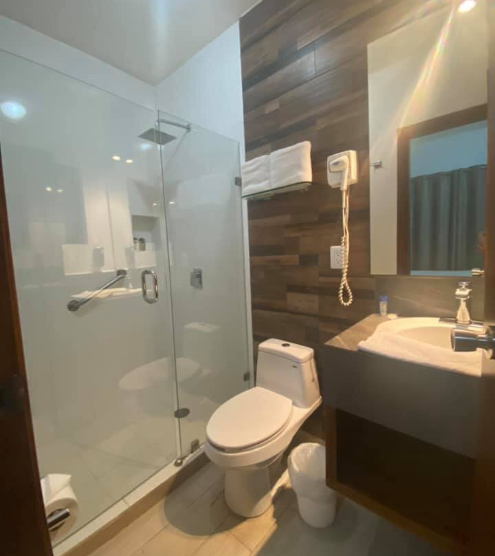 Hotel Del Carmen主图