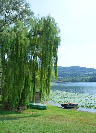 Lago di Santa Maria景点图片
