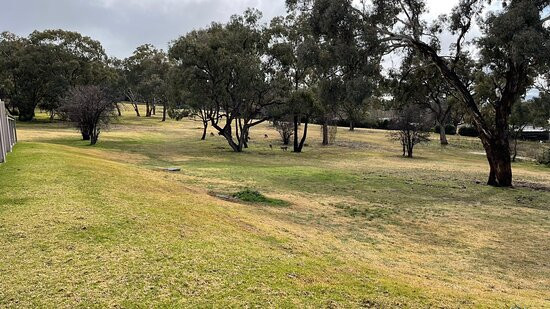 Bathurst Goldfields Resort主图