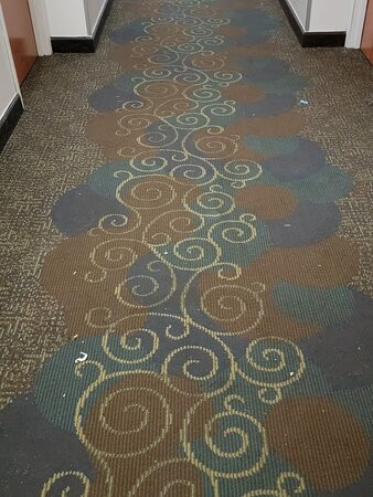 Wingate by Wyndham Atlanta/Six Flags Austell主图