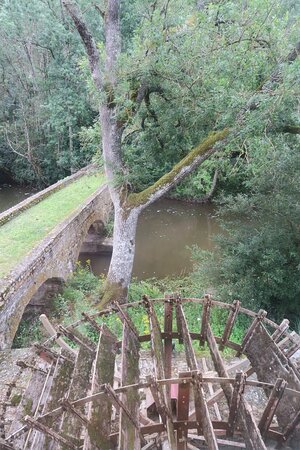 Moulin de la Chevrière-酒店景观