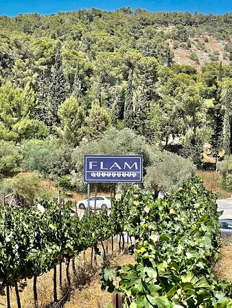 Flam Winery-Beit Shemesh必去景点