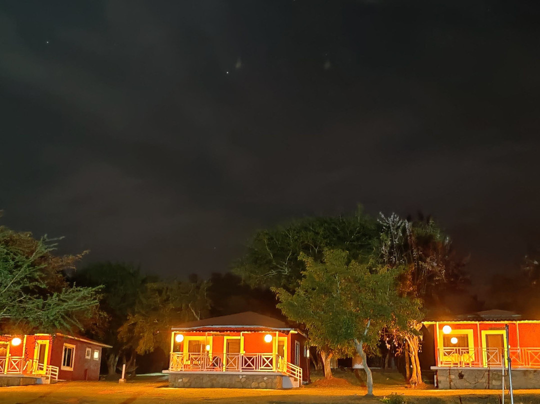 Masinagudi酒店住宿-The Wild Forest Resorts