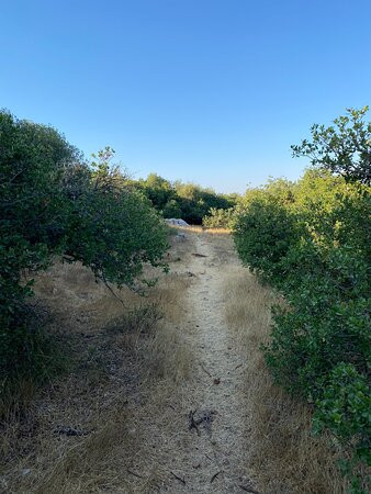 Ajloun Nature Reserve-Ajlun必去景点