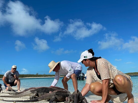 Island Boy Adventures-George Town必去景点