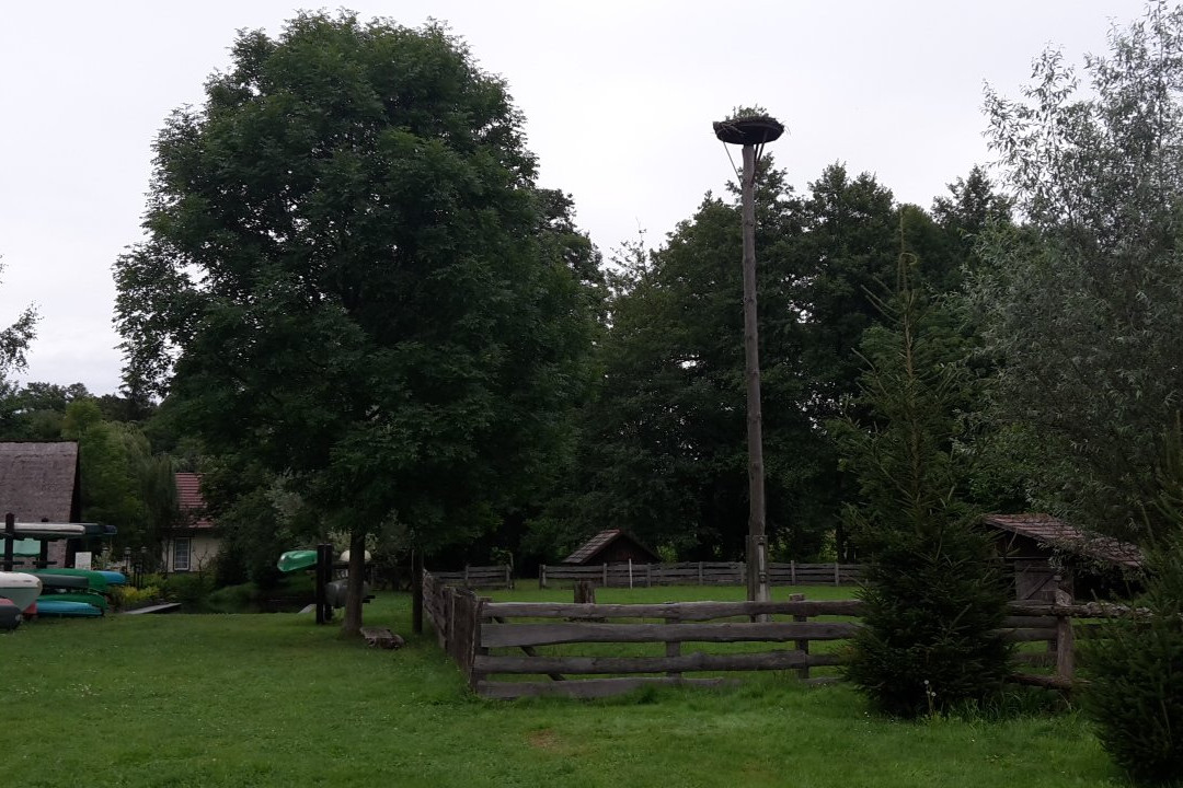 Landgasthof Zur Wildbahn主图