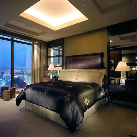 Hotel Amar Palace-客卧