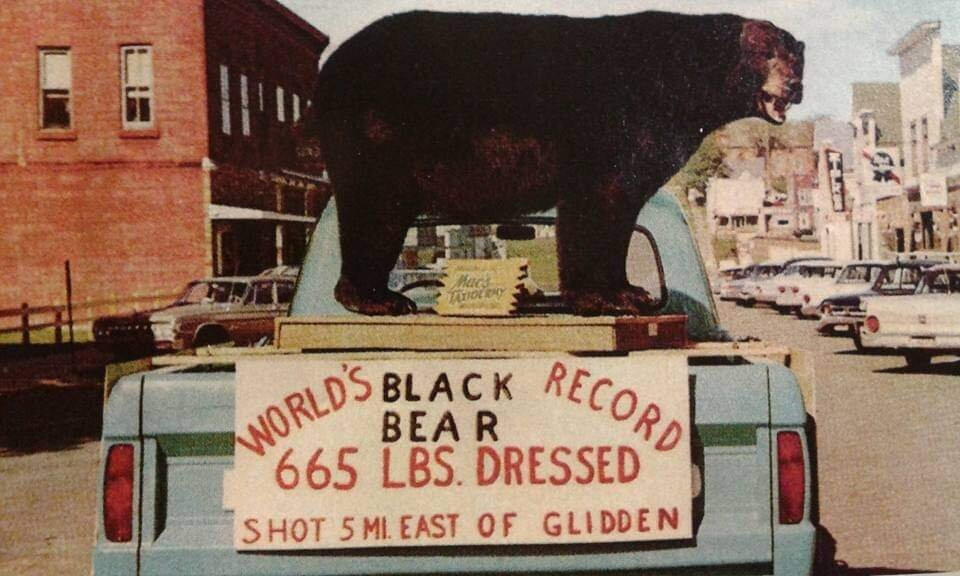 World Record Stuffed Bear