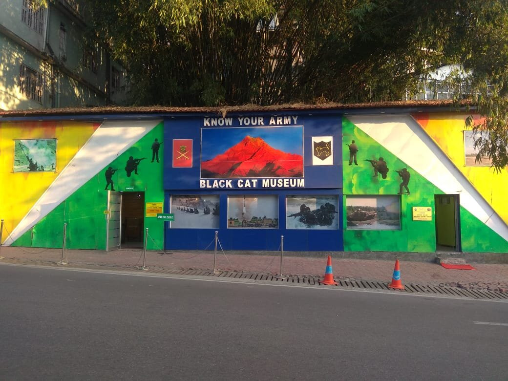 Black Cat Museum景点图片