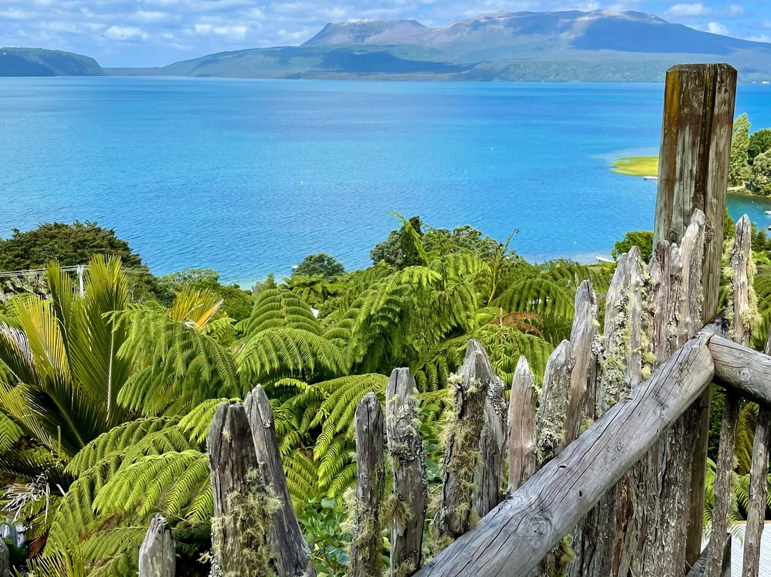 Te Whare-Lake Tarawera Tree-Top Nest