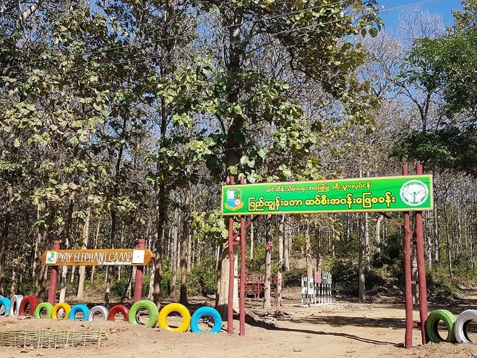 卑谬旅游景点-Pyay Elephant Camp
