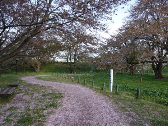 Odaruma no Sakura-中山町必去景点