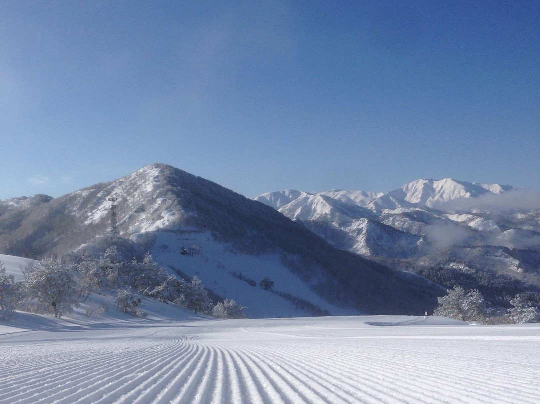 Wakabuna Kogen Ski Areas景点图片