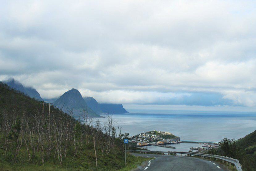 Bjørnhaugen