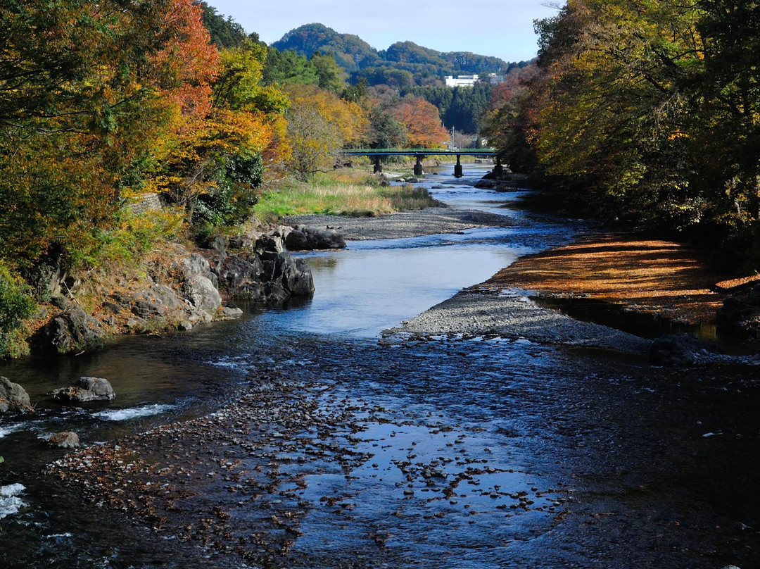 秋留野市旅游攻略图片