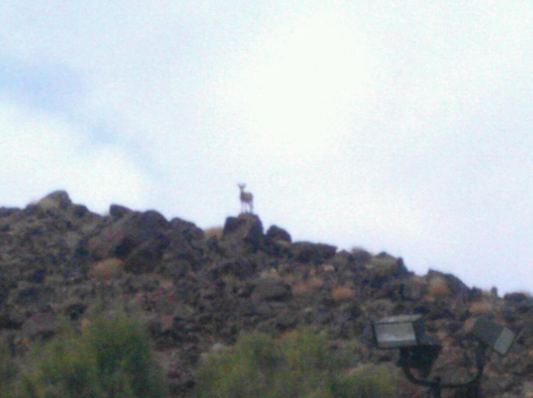 Newberry Springs旅游攻略图片