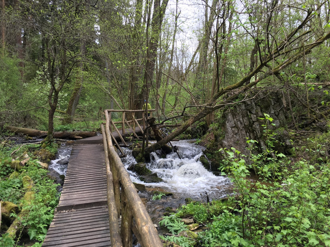 Czartowe Pole Nature Reserve景点图片