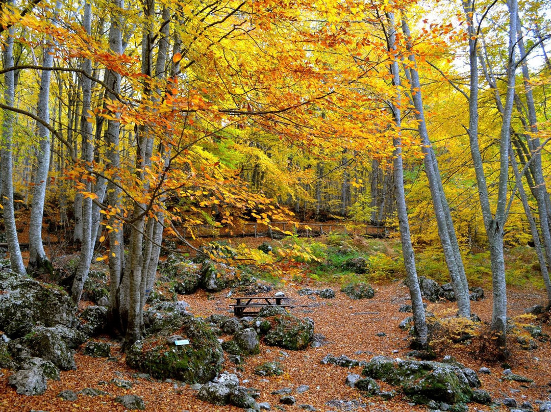 Riserva Naturale Lama Bianca