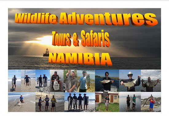 Wildlife Adventures Tours & Safari's Namibia景点图片