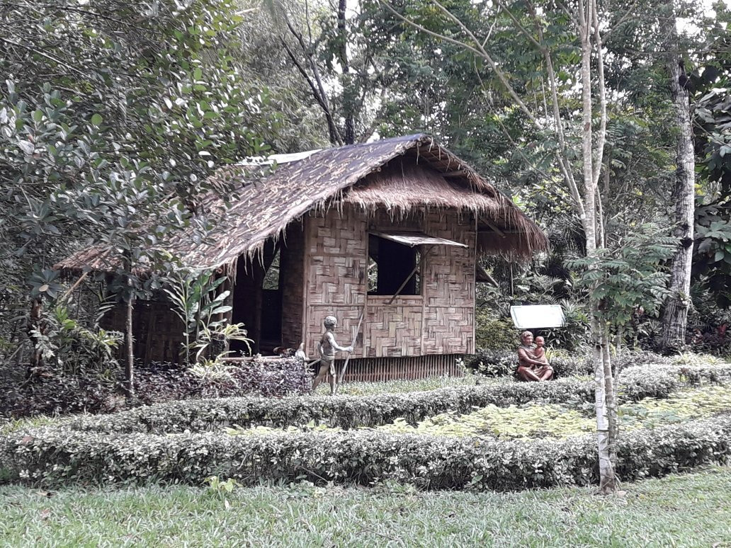 Capiz Eco Park景点图片